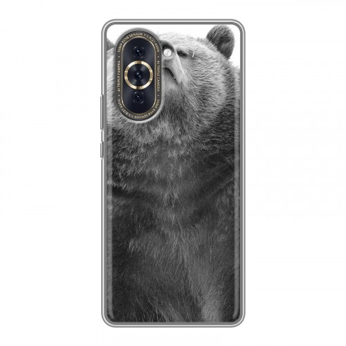 Дизайнерский пластиковый чехол для Huawei Nova 10 Медведи