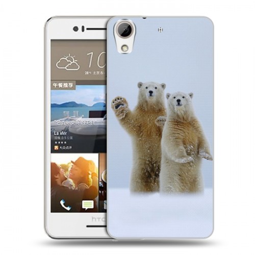 Дизайнерский пластиковый чехол для HTC Desire 728 Медведи