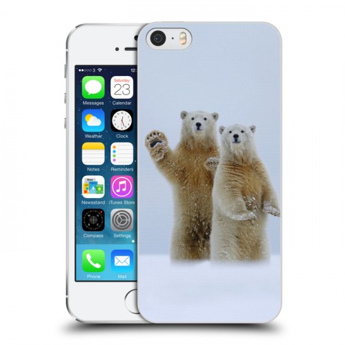 Дизайнерский пластиковый чехол для Iphone 5s Медведи