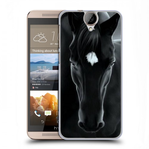 Дизайнерский пластиковый чехол для HTC One E9+ Лошади