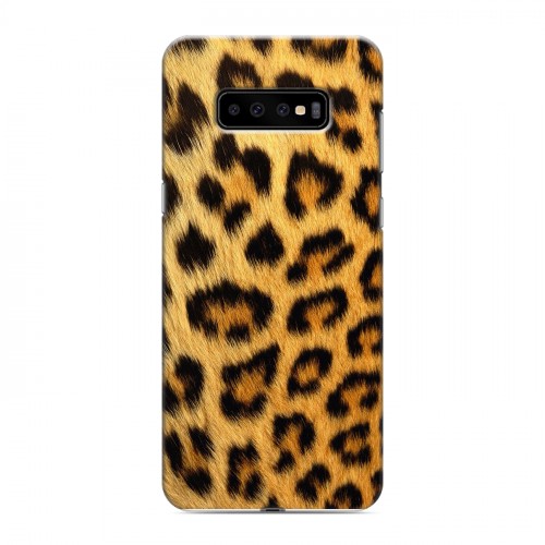 Дизайнерский пластиковый чехол для Samsung Galaxy S10 Plus Леопард