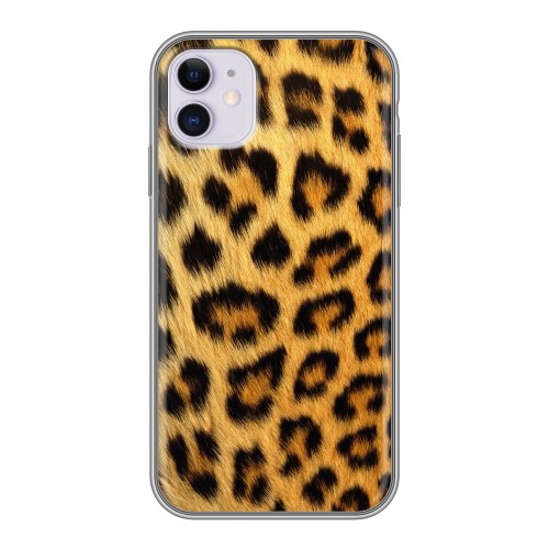Дизайнерский пластиковый чехол для Iphone 11 Леопард