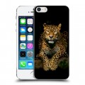 Дизайнерский пластиковый чехол для Iphone 5s Леопард