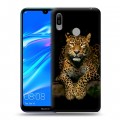 Дизайнерский пластиковый чехол для Huawei Y6 (2019) Леопард