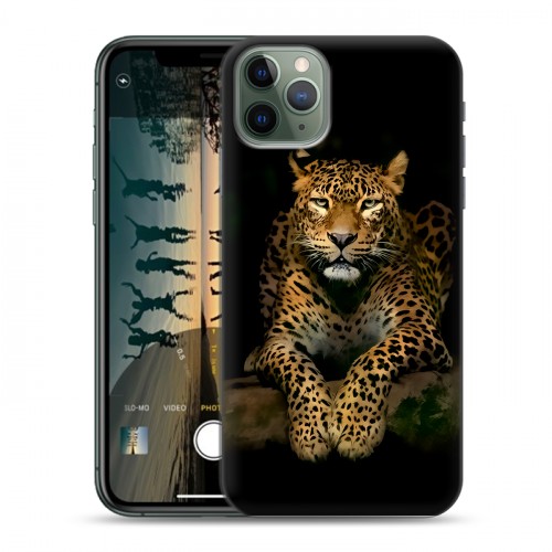 Дизайнерский пластиковый чехол для Iphone 11 Pro Max Леопард