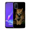 Дизайнерский пластиковый чехол для OPPO A52 Леопард