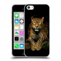 Дизайнерский пластиковый чехол для Iphone 5c Леопард