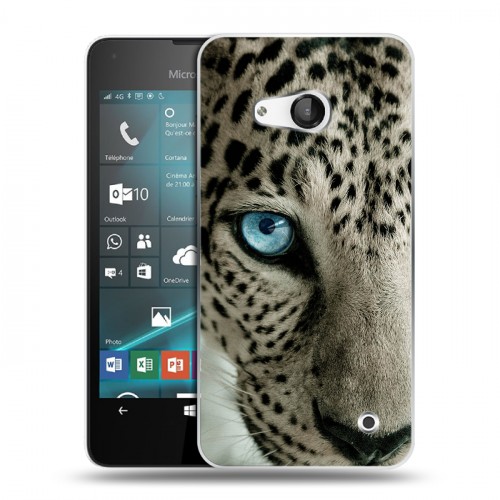 Дизайнерский пластиковый чехол для Microsoft Lumia 550 Леопард