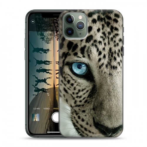 Дизайнерский пластиковый чехол для Iphone 11 Pro Max Леопард