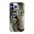 Дизайнерский силиконовый чехол для Iphone 13 Pro Леопард