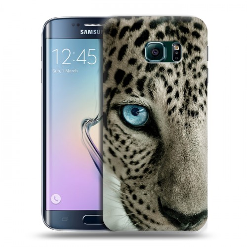 Дизайнерский пластиковый чехол для Samsung Galaxy S6 Edge Леопард