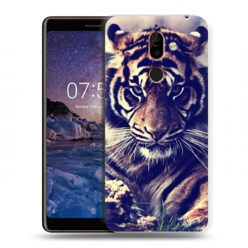 Дизайнерский пластиковый чехол для Nokia 7 Plus Тигры