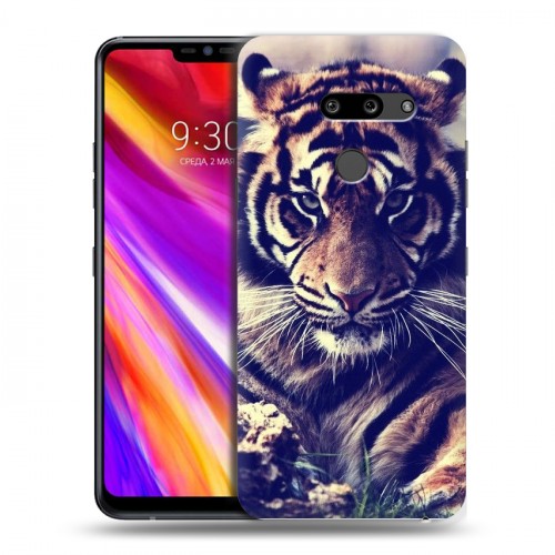 Дизайнерский пластиковый чехол для LG G8 ThinQ Тигры