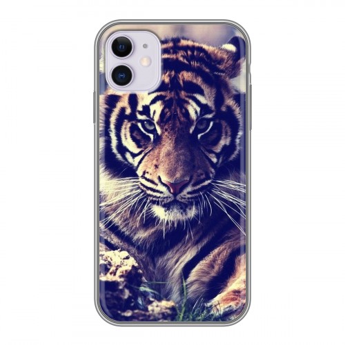 Дизайнерский силиконовый чехол для Iphone 11 Тигры