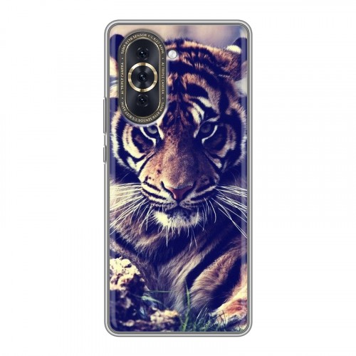 Дизайнерский силиконовый чехол для Huawei Nova 10 Тигры