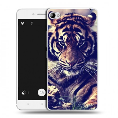 Дизайнерский пластиковый чехол для Lenovo S90 Тигры
