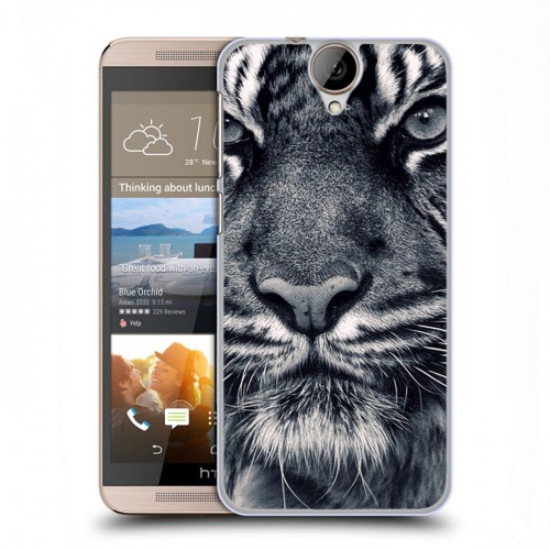 Дизайнерский пластиковый чехол для HTC One E9+ Тигры