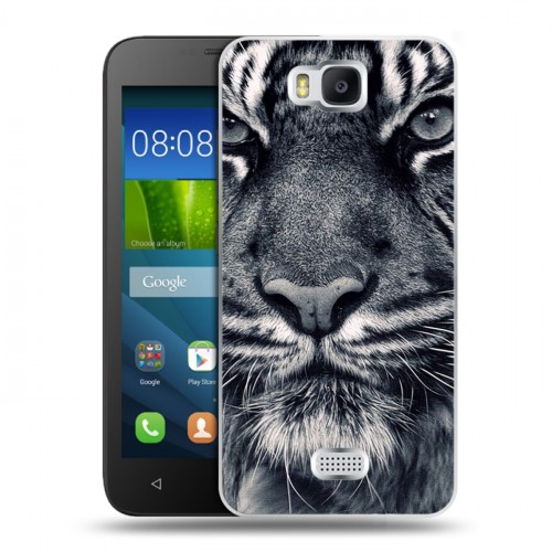 Дизайнерский пластиковый чехол для Huawei Y5c Тигры