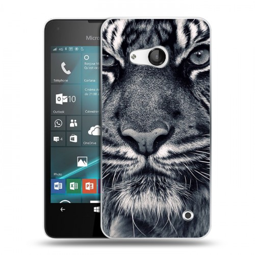Дизайнерский пластиковый чехол для Microsoft Lumia 550 Тигры