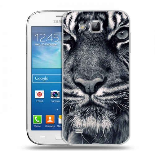 Дизайнерский пластиковый чехол для Samsung Galaxy Premier Тигры