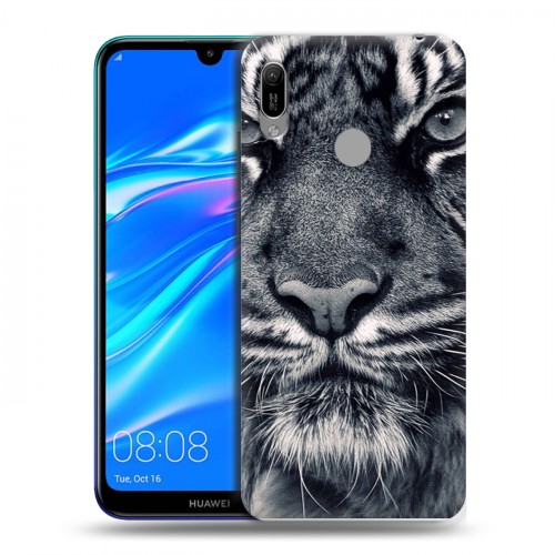 Дизайнерский пластиковый чехол для Huawei Y6 (2019) Тигры