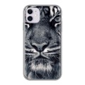 Дизайнерский пластиковый чехол для Iphone 11 Тигры