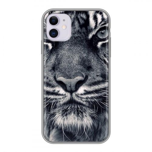Дизайнерский силиконовый чехол для Iphone 11 Тигры