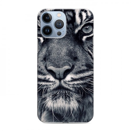 Дизайнерский силиконовый чехол для Iphone 13 Pro Max Тигры