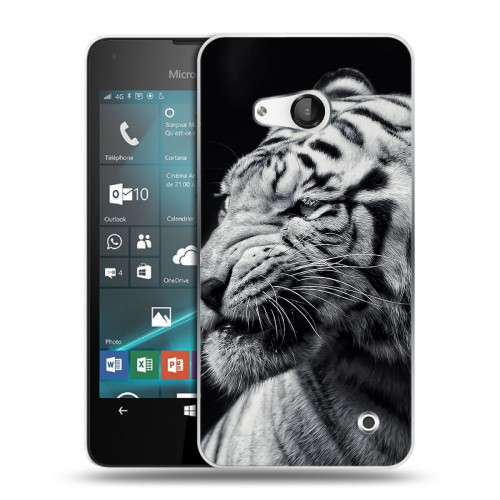 Дизайнерский пластиковый чехол для Microsoft Lumia 550 Тигры