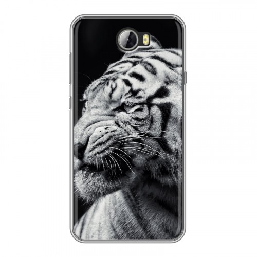 Дизайнерский силиконовый чехол для Huawei Y5 II Тигры