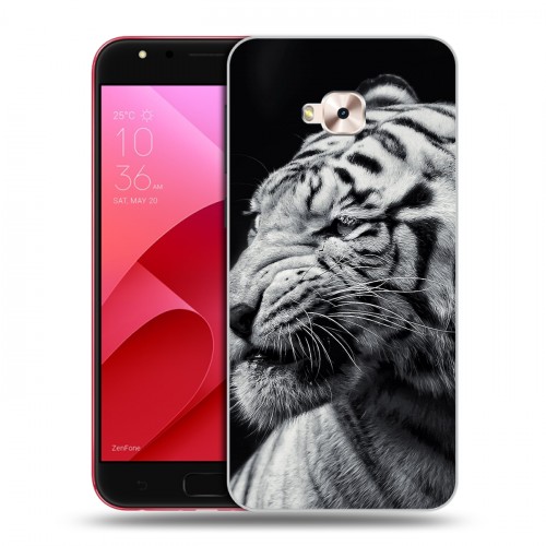 Дизайнерский пластиковый чехол для ASUS ZenFone 4 Selfie Pro Тигры