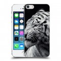 Дизайнерский пластиковый чехол для Iphone 5s Тигры