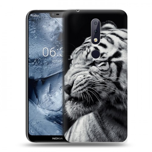 Дизайнерский пластиковый чехол для Nokia 6.1 Plus Тигры