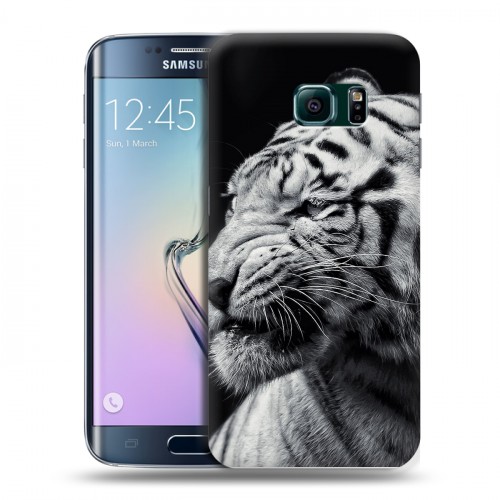 Дизайнерский пластиковый чехол для Samsung Galaxy S6 Edge Тигры
