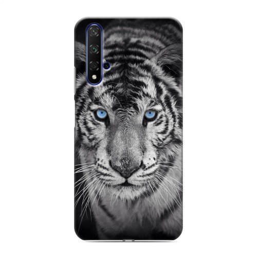 Дизайнерский пластиковый чехол для Huawei Honor 20 Тигры