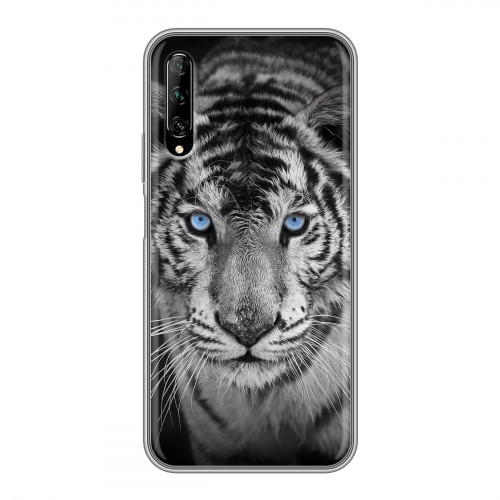 Дизайнерский пластиковый чехол для Huawei Y9s Тигры