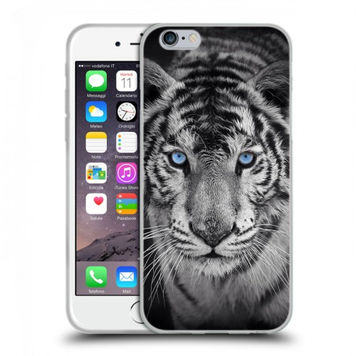 Дизайнерский пластиковый чехол для Iphone 6/6s Тигры