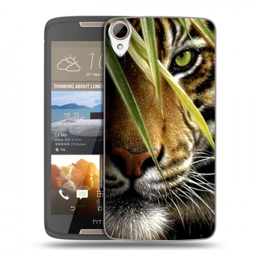 Дизайнерский пластиковый чехол для HTC Desire 828 Тигры