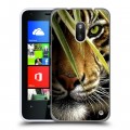 Дизайнерский пластиковый чехол для Nokia Lumia 620 Тигры