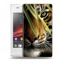 Дизайнерский пластиковый чехол для Sony Xperia E Тигры