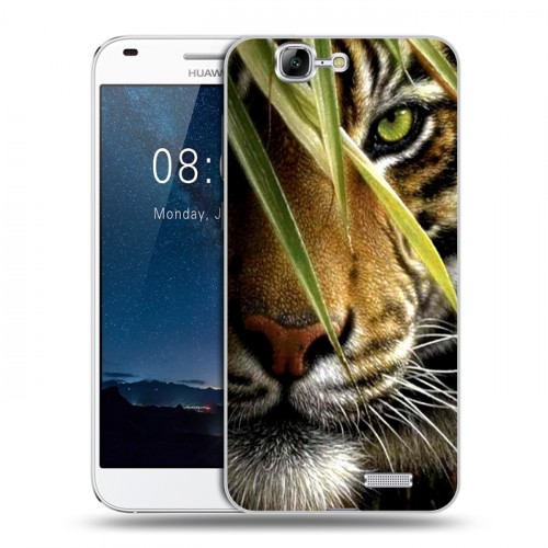 Дизайнерский пластиковый чехол для Huawei Ascend G7 Тигры