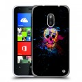 Дизайнерский пластиковый чехол для Nokia Lumia 620 Арт черепа