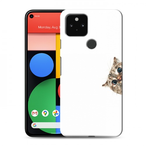 Дизайнерский пластиковый чехол для Google Pixel 5 Креатив дизайн