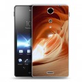 Дизайнерский пластиковый чехол для Sony Xperia TX Каньоны