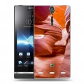 Дизайнерский пластиковый чехол для Sony Xperia S Каньоны