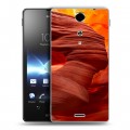 Дизайнерский пластиковый чехол для Sony Xperia TX Каньоны