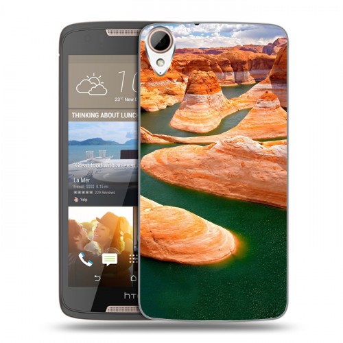 Дизайнерский пластиковый чехол для HTC Desire 828 Каньоны