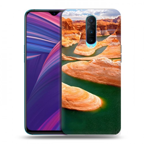 Дизайнерский пластиковый чехол для OPPO RX17 Pro Каньоны