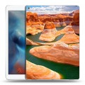 Дизайнерский пластиковый чехол для Ipad Pro Каньоны