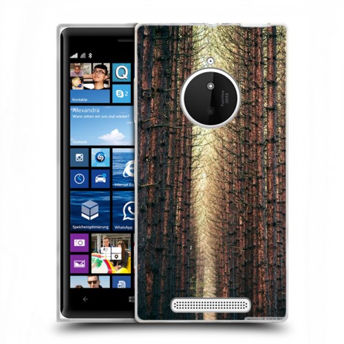 Дизайнерский пластиковый чехол для Nokia Lumia 830 Лес
